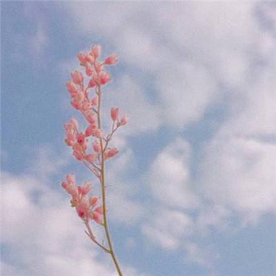 乐鱼(中国)官方网站截图